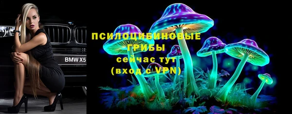 хмурый Нязепетровск