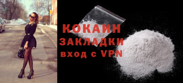 тгк Няндома