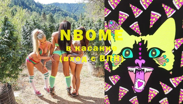 тгк Няндома