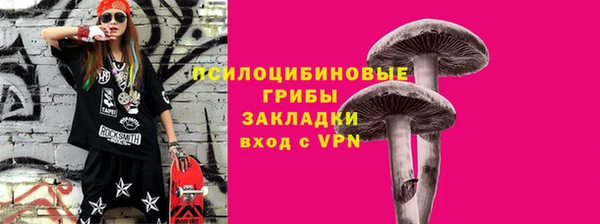 хмурый Нязепетровск