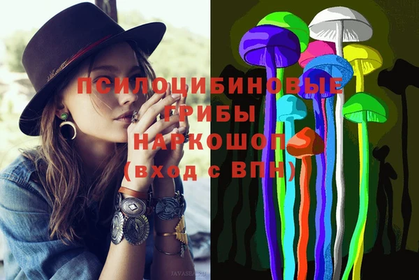 тгк Няндома