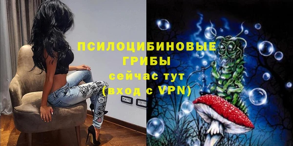 тгк Няндома