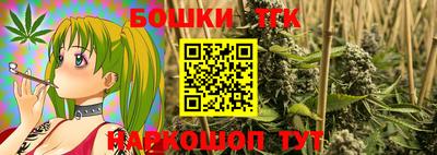 СК Дубна