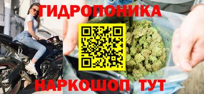 ГАЛЛЮЦИНОГЕННЫЕ ГРИБЫ Донской