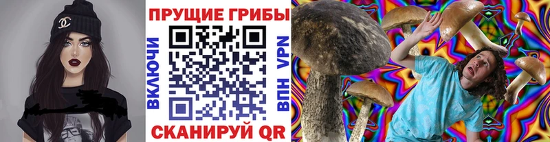 Псилоцибиновые грибы мицелий Мурманск