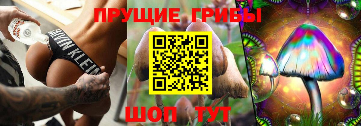 Галлюциногенные грибы Cubensis  Галлюциногенные грибы мицелий  Вход с VPN  где можно купить   Мурманск 